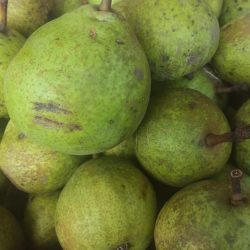 Stoofperen St. Remy & Rode Brederode