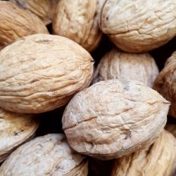 Walnoten